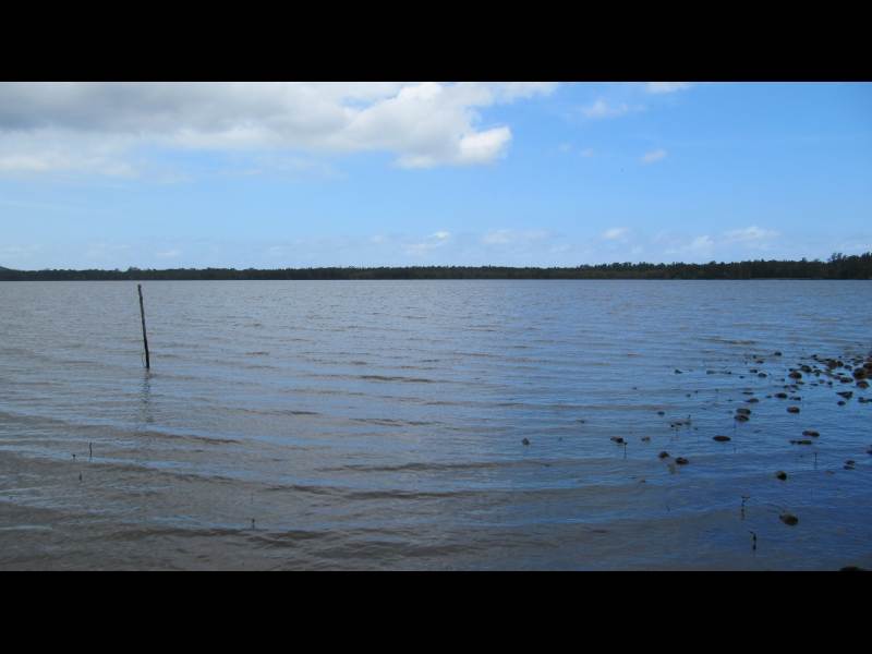 IMAGE012