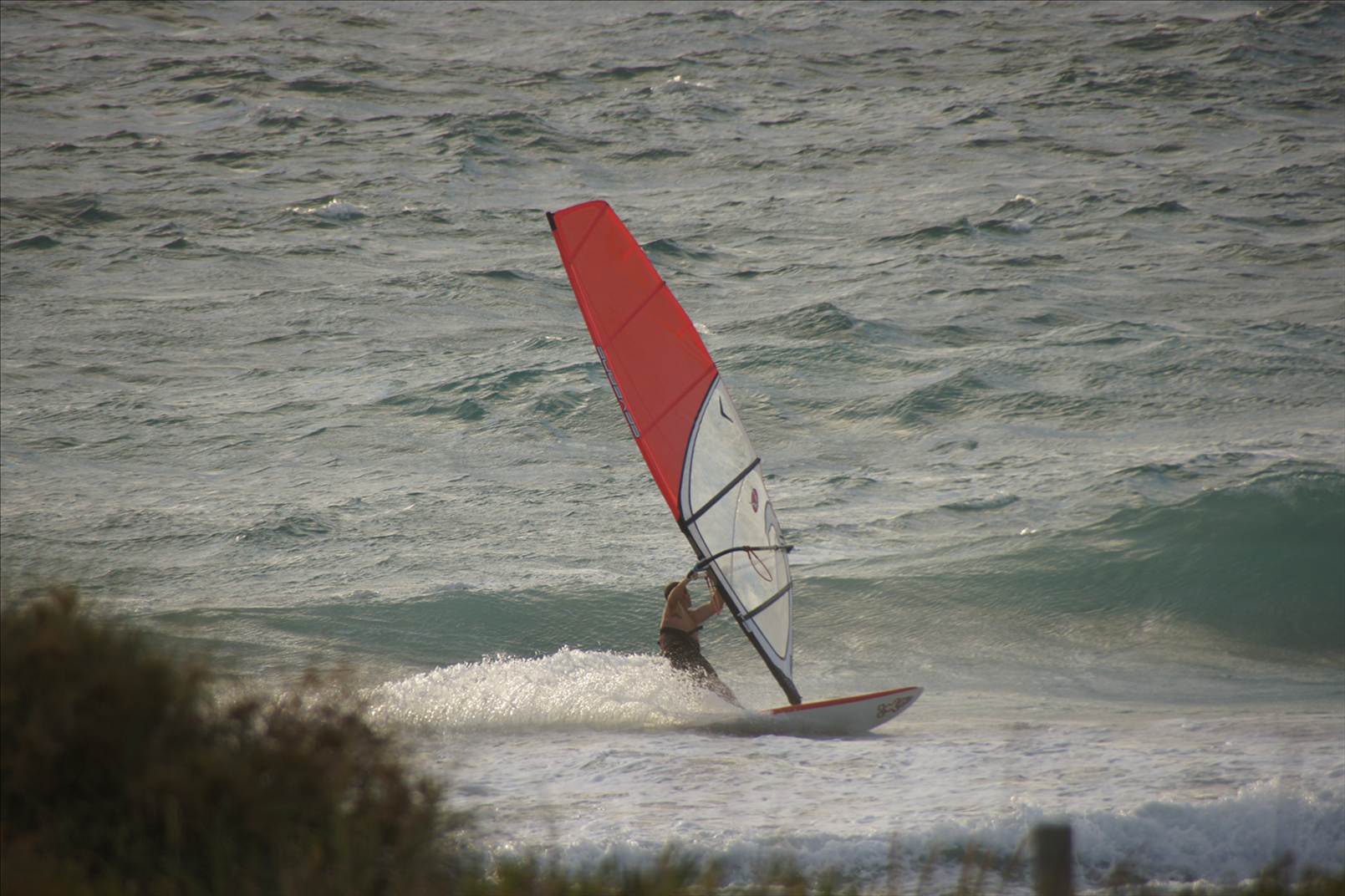 DSC02207