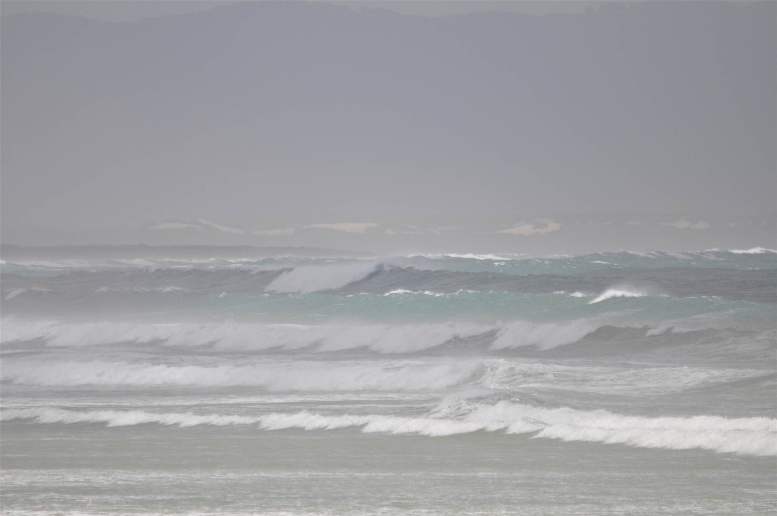 Waratah Bay 9th Jan