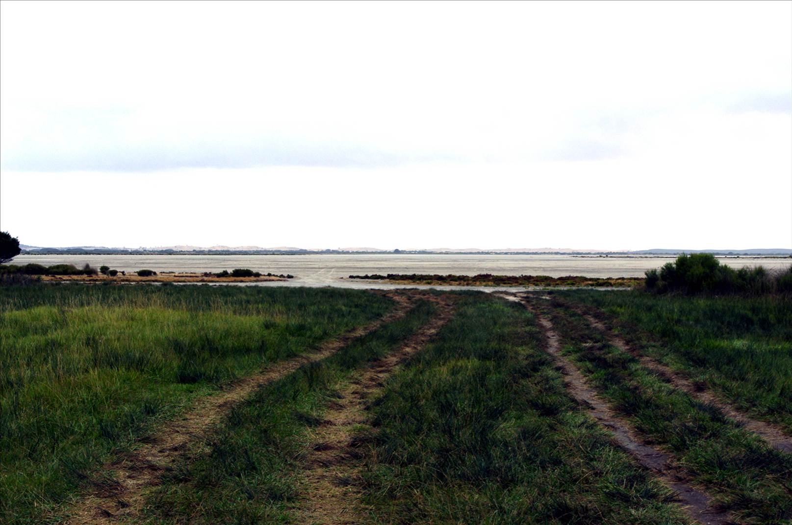 The road in
