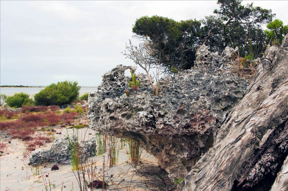 lime stone