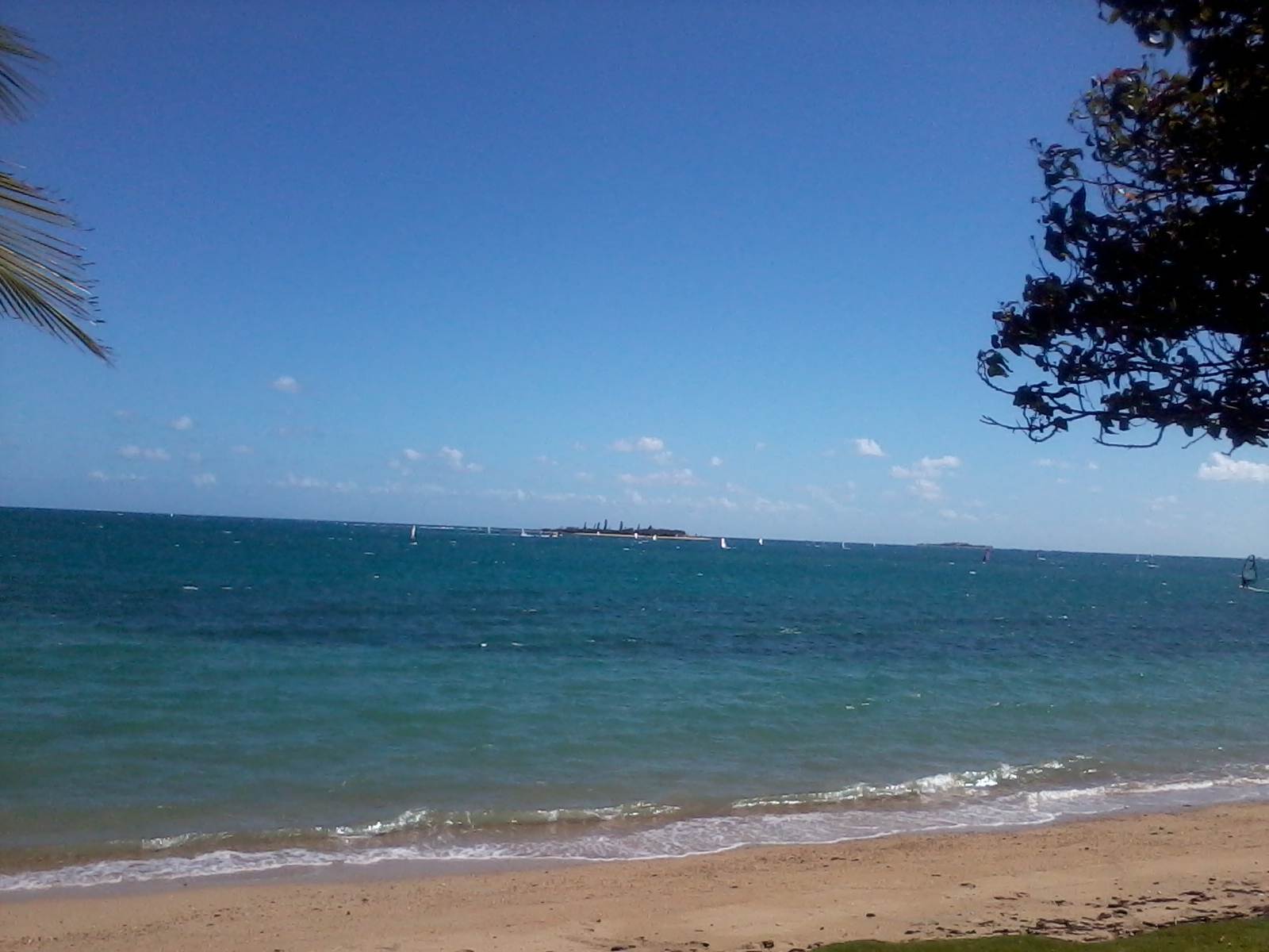 Photo0042