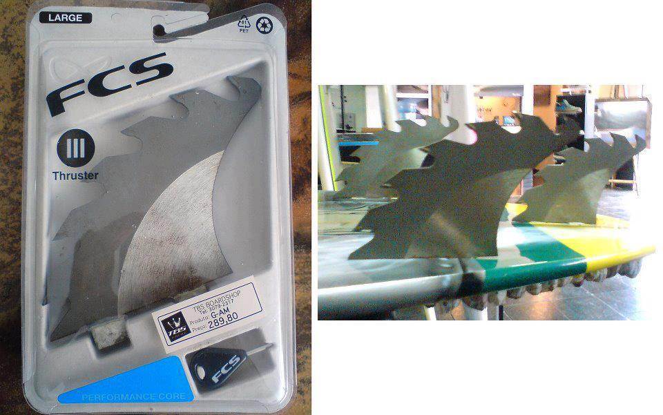 FINS