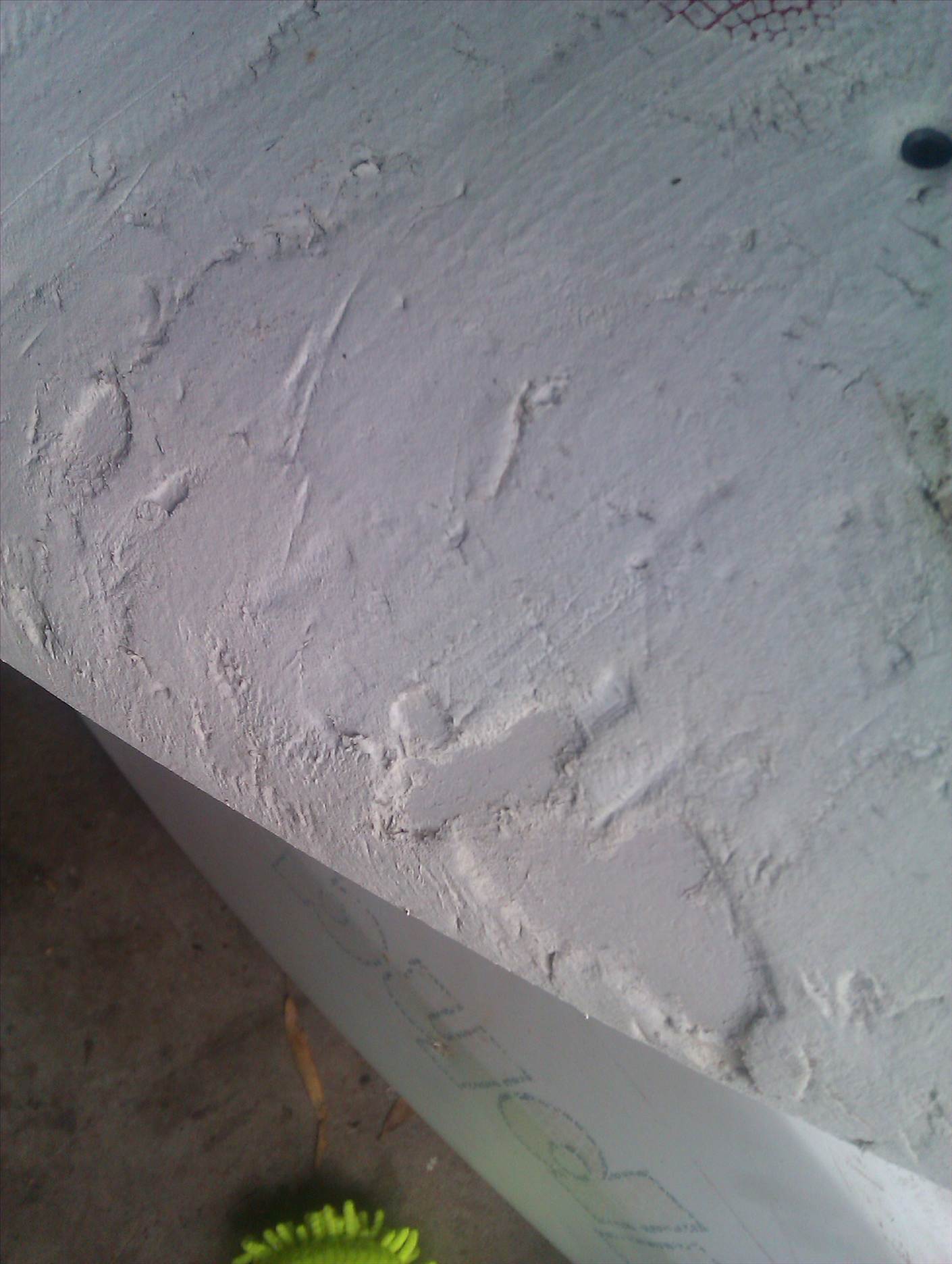 IMAG0270