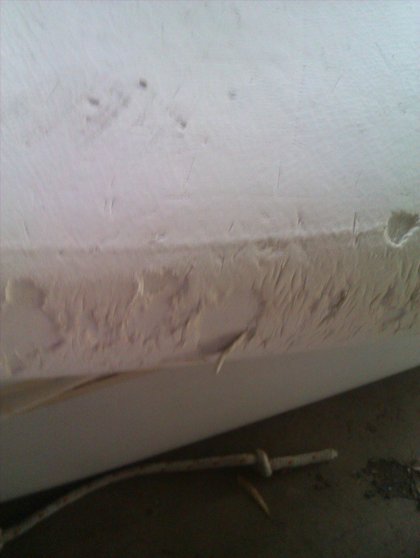 IMAG0273