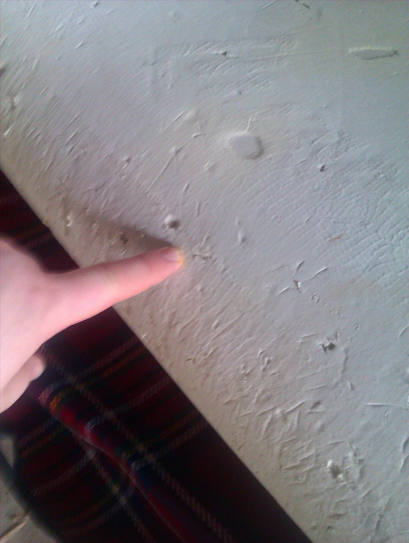 IMAG0271