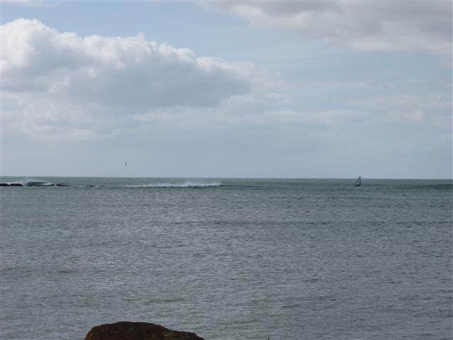P4070002 (Small)