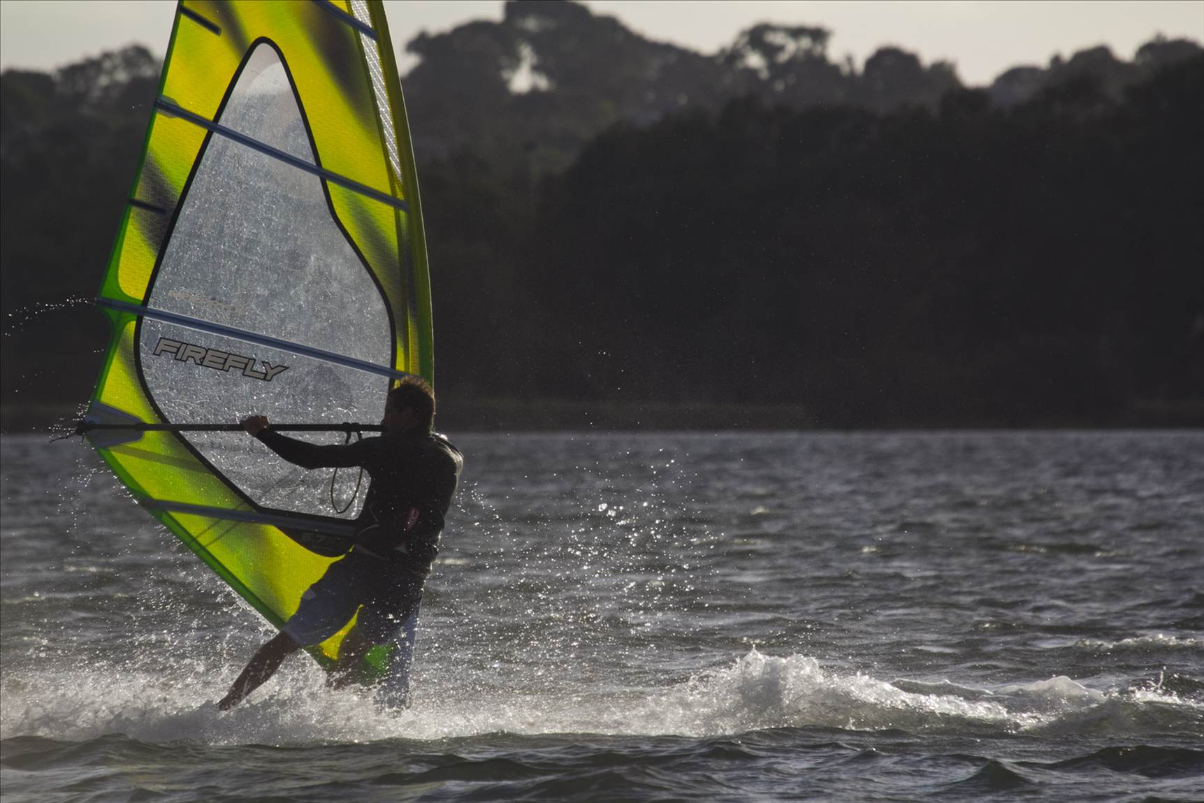 swan river p3
