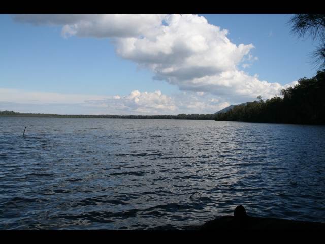 IMAGE016