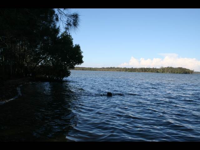 IMAGE020