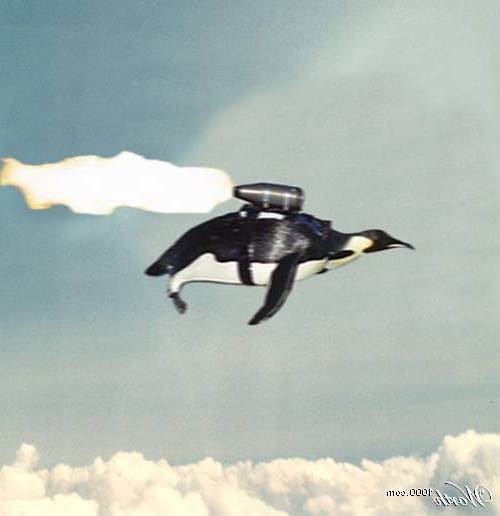 GPS=Giant Penguin Slingshot
