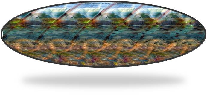 3-d windsurr