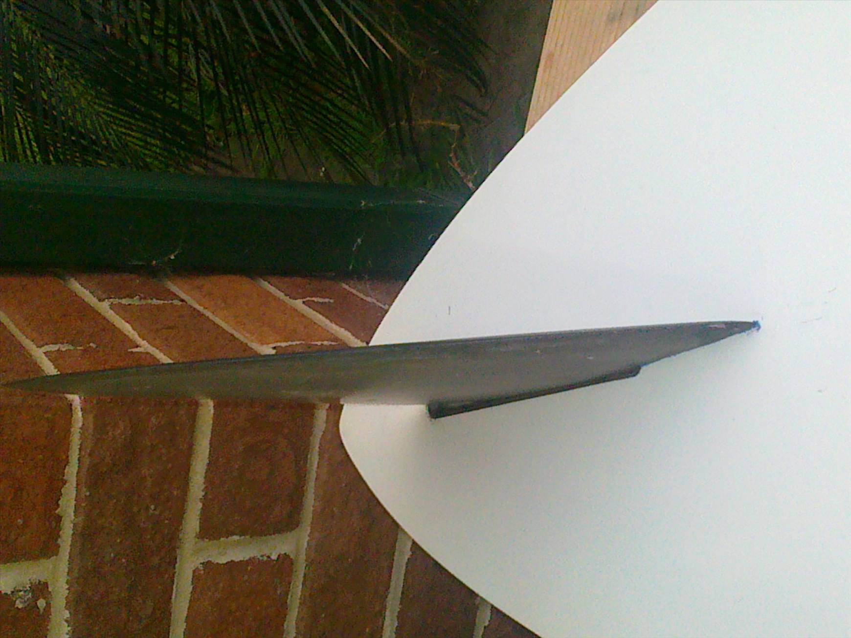 my fin