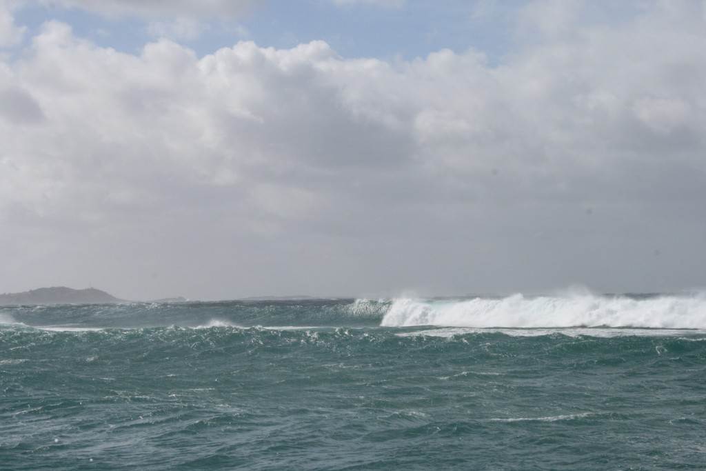 Picture 041