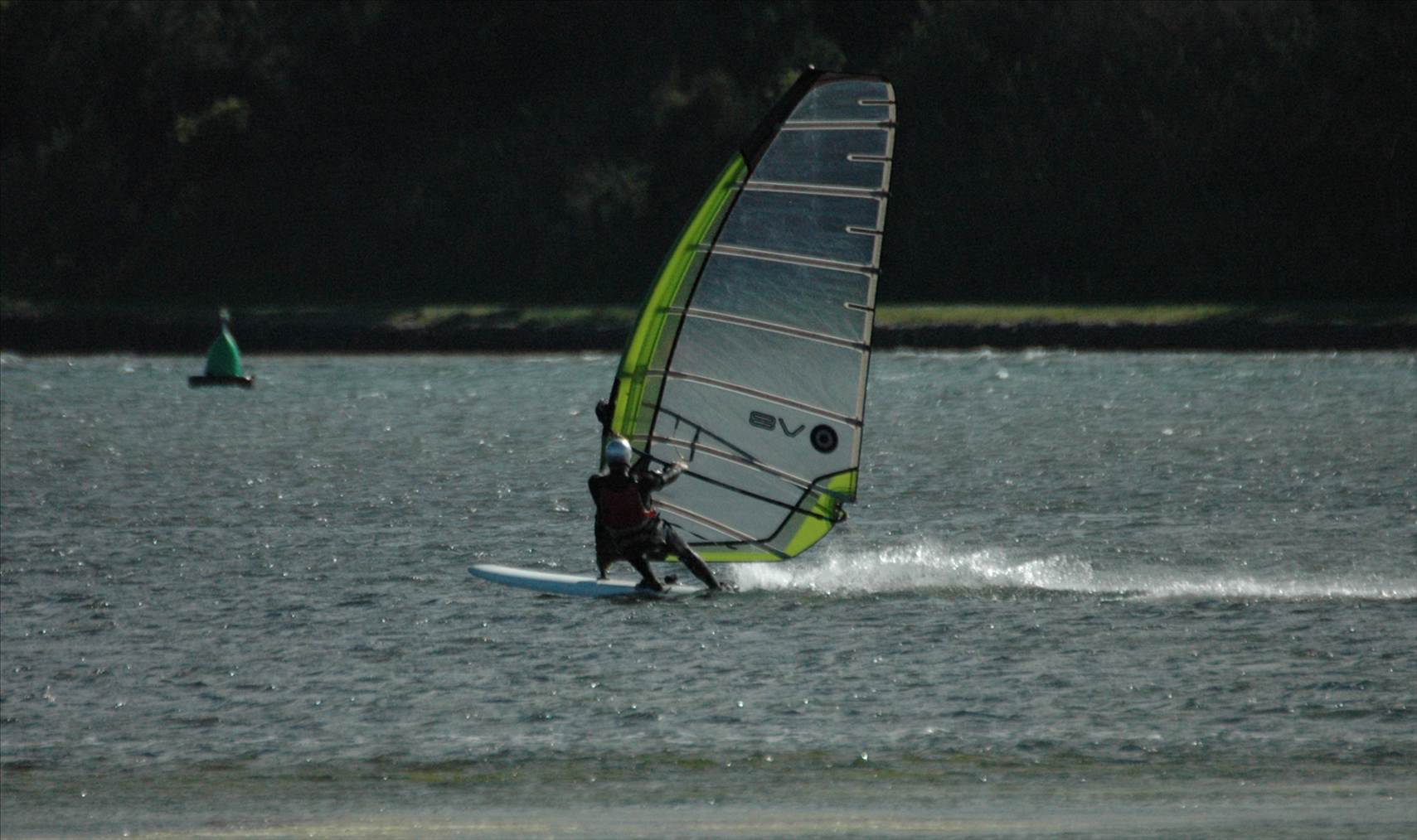 Locals at Lake Illawarra Sat 11th August