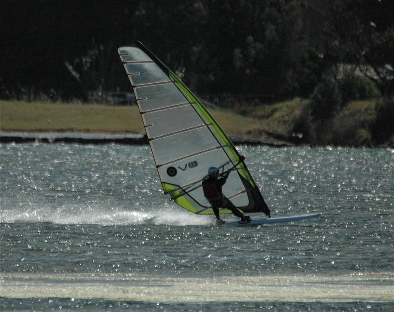 Locals at Lake Illawarra Sat 11th August