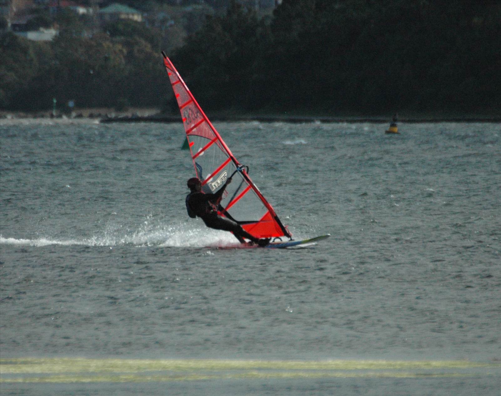Locals at Lake Illawarra Sat 11th August