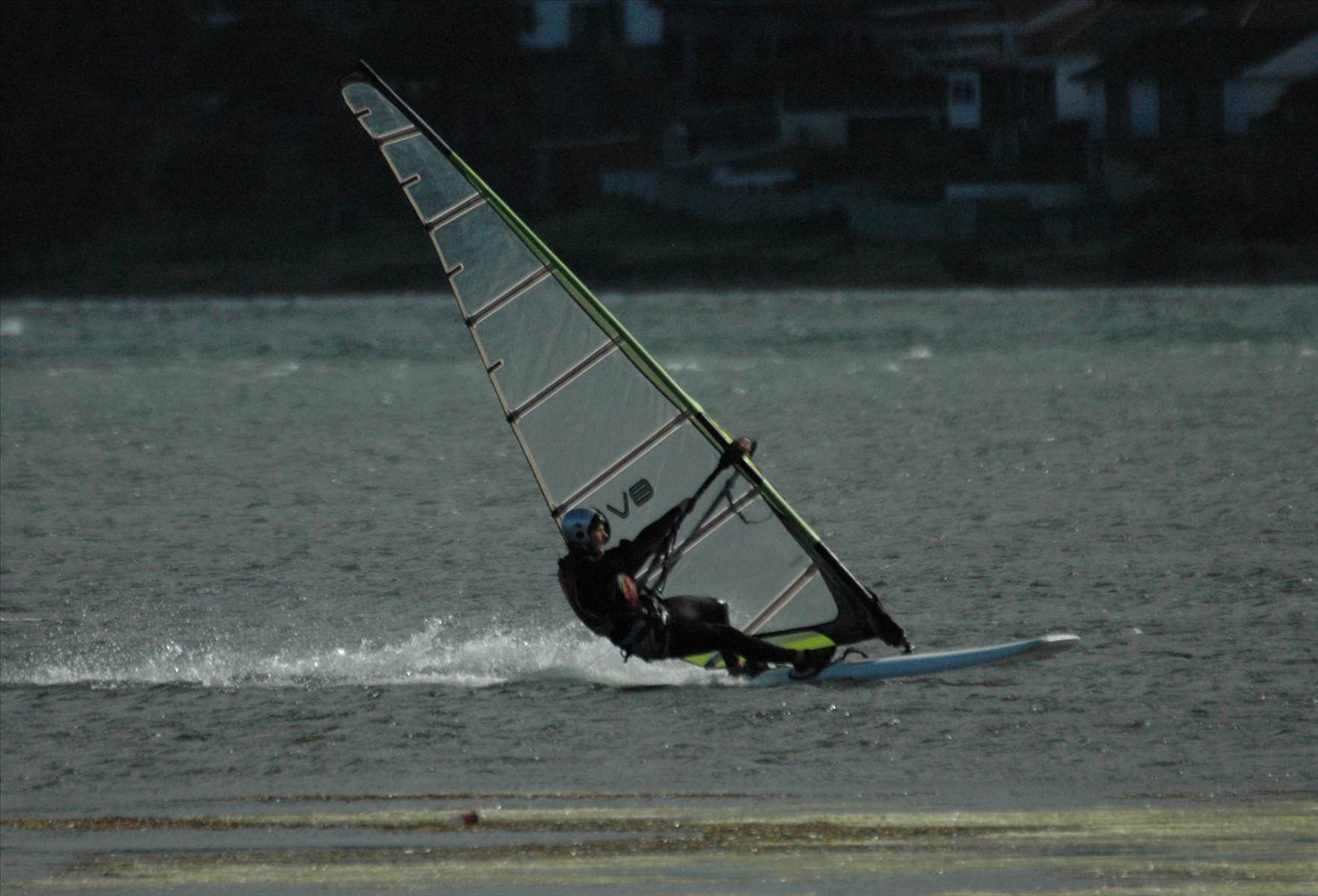 Locals at Lake Illawarra Sat 11th August