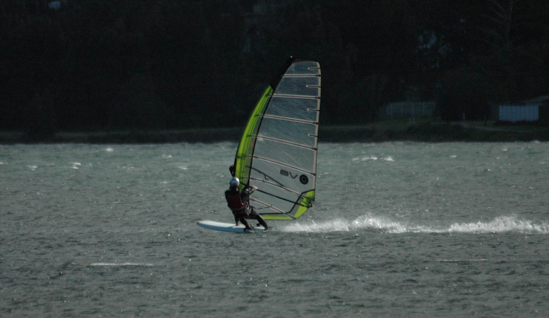 Locals at Lake Illawarra Sat 11th August