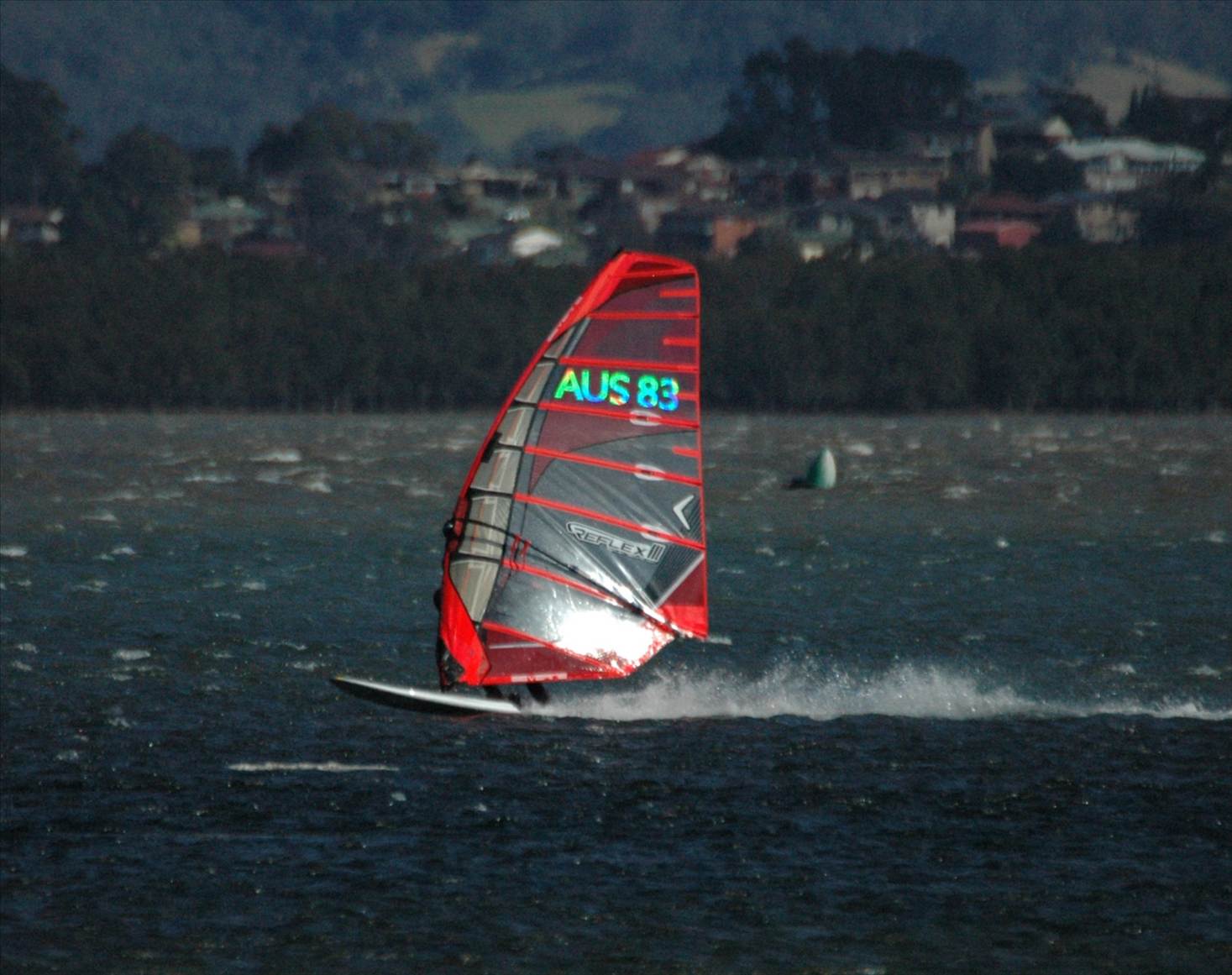 Locals at Lake Illawarra Sat 11th August