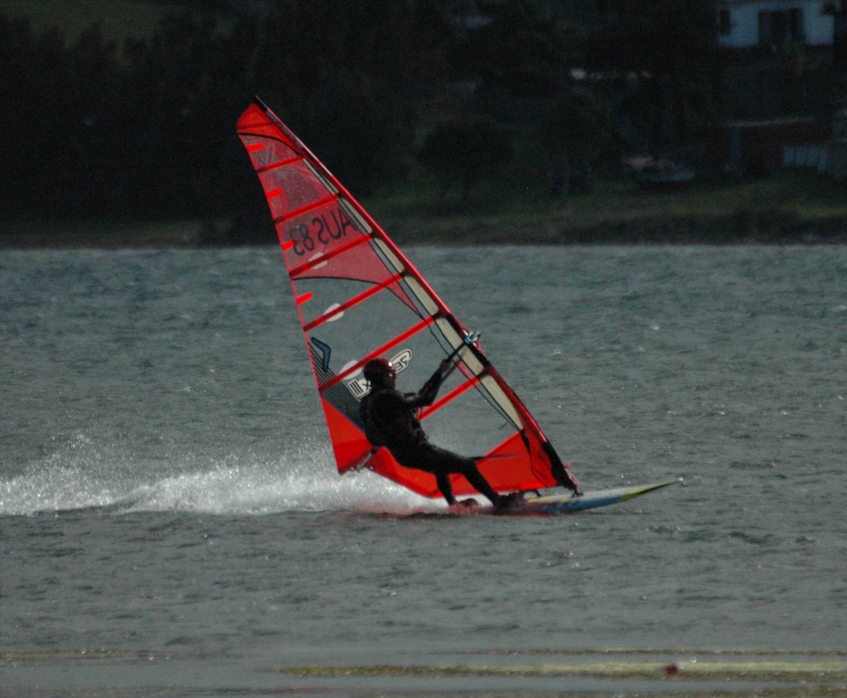 Locals at Lake Illawarra Sat 11th August