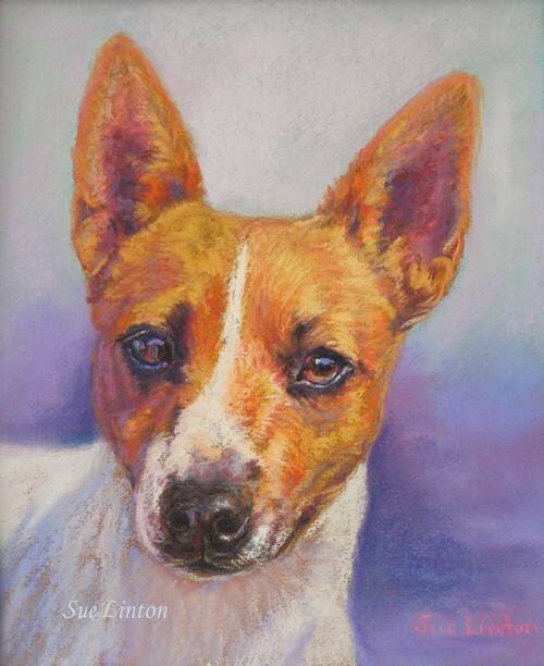 Some of my latest portait commissions