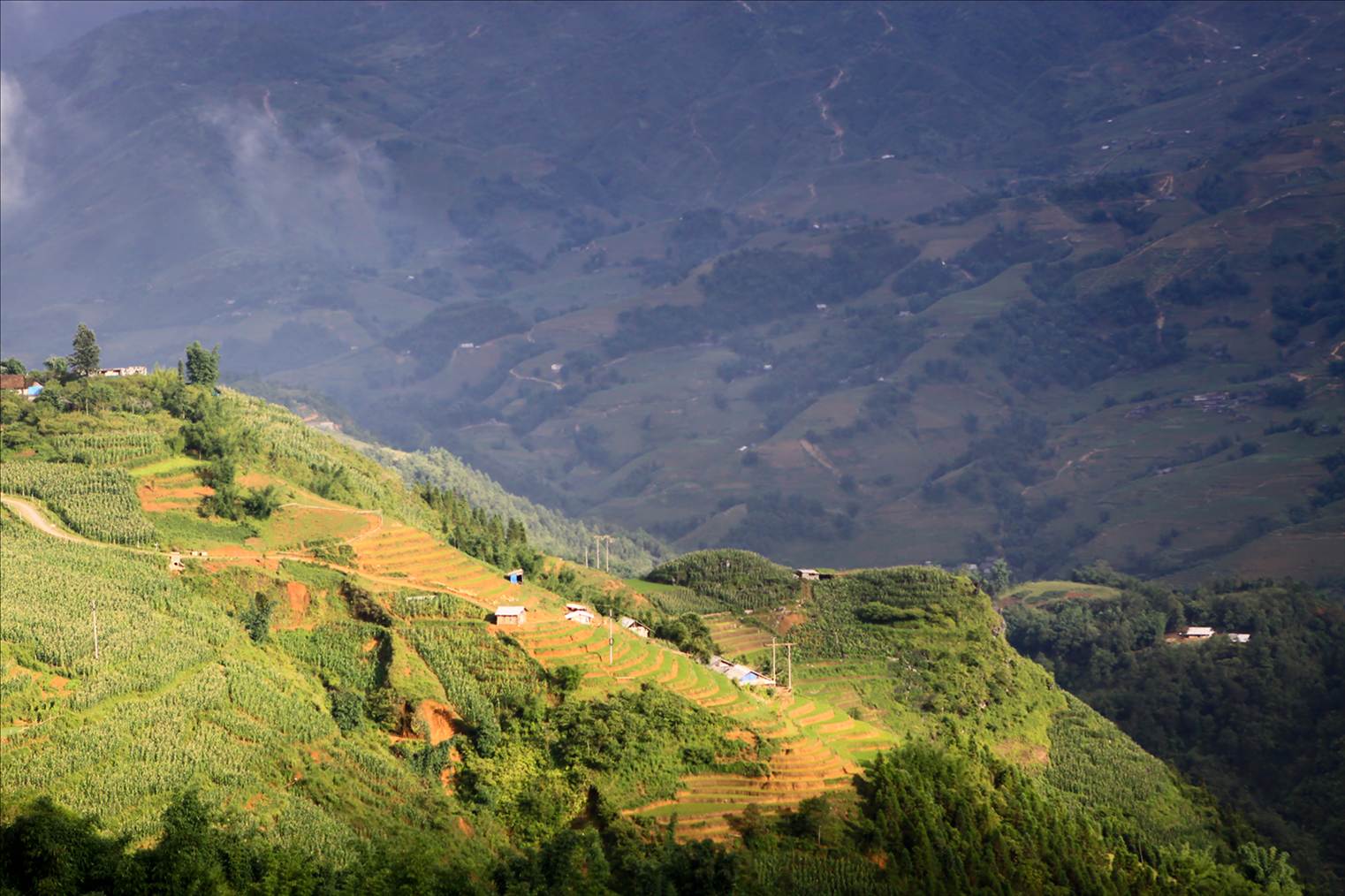 Vietnam