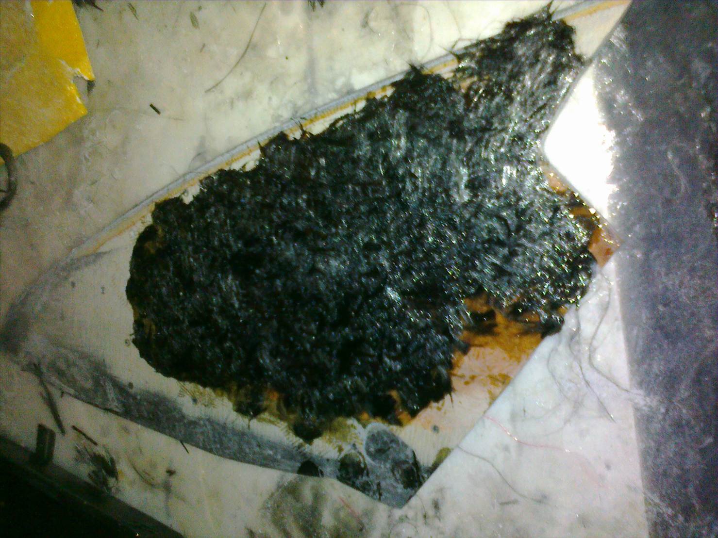 chop carbon