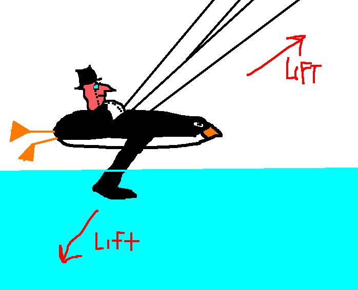 The Penguin