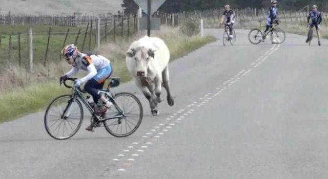 Funny-Pics-06 08 2012-211
