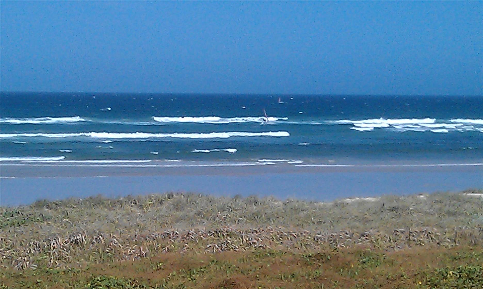 IMAG0251