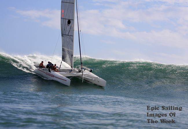 Cat surfing