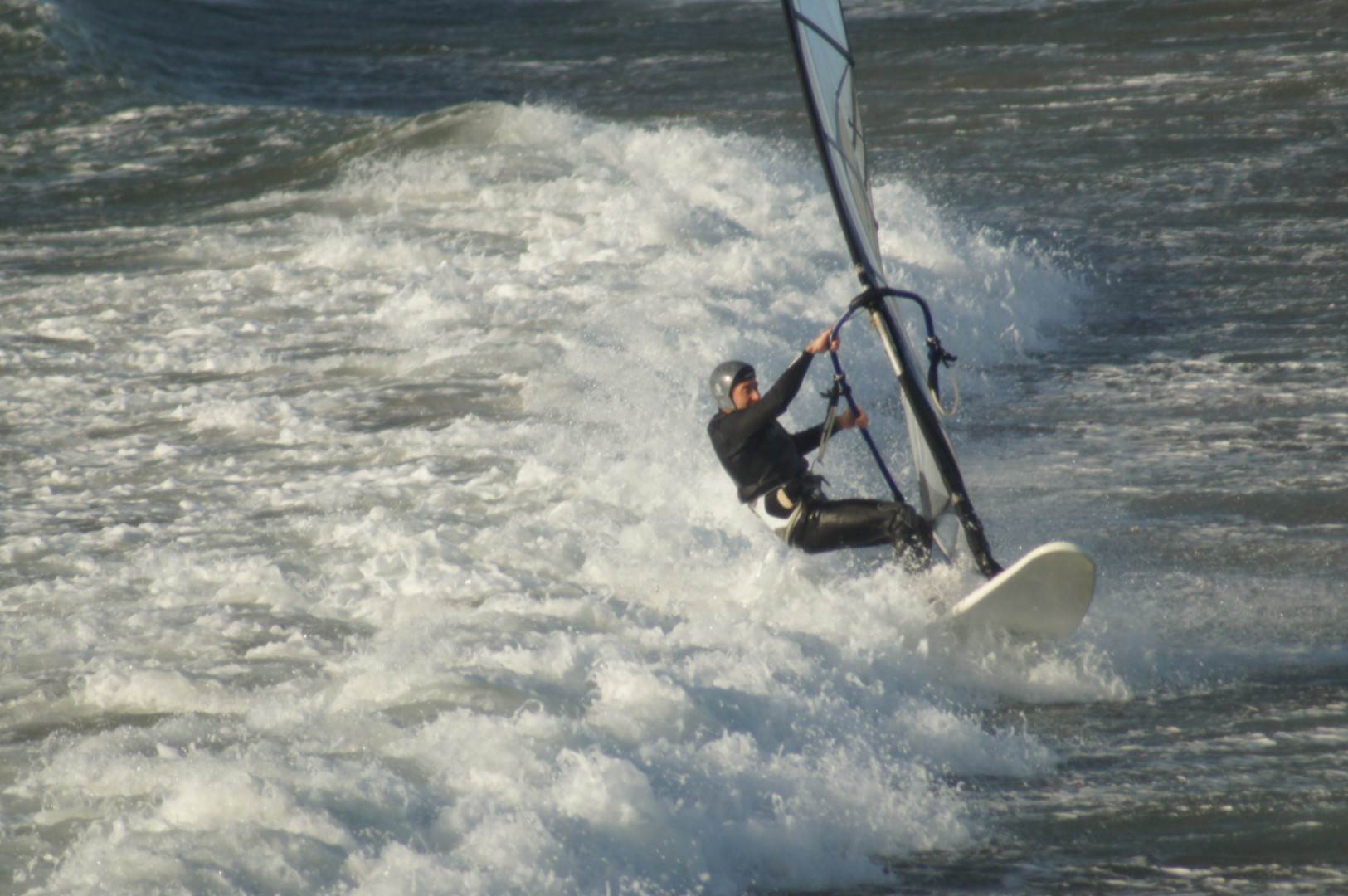 DSC00748 (Large)