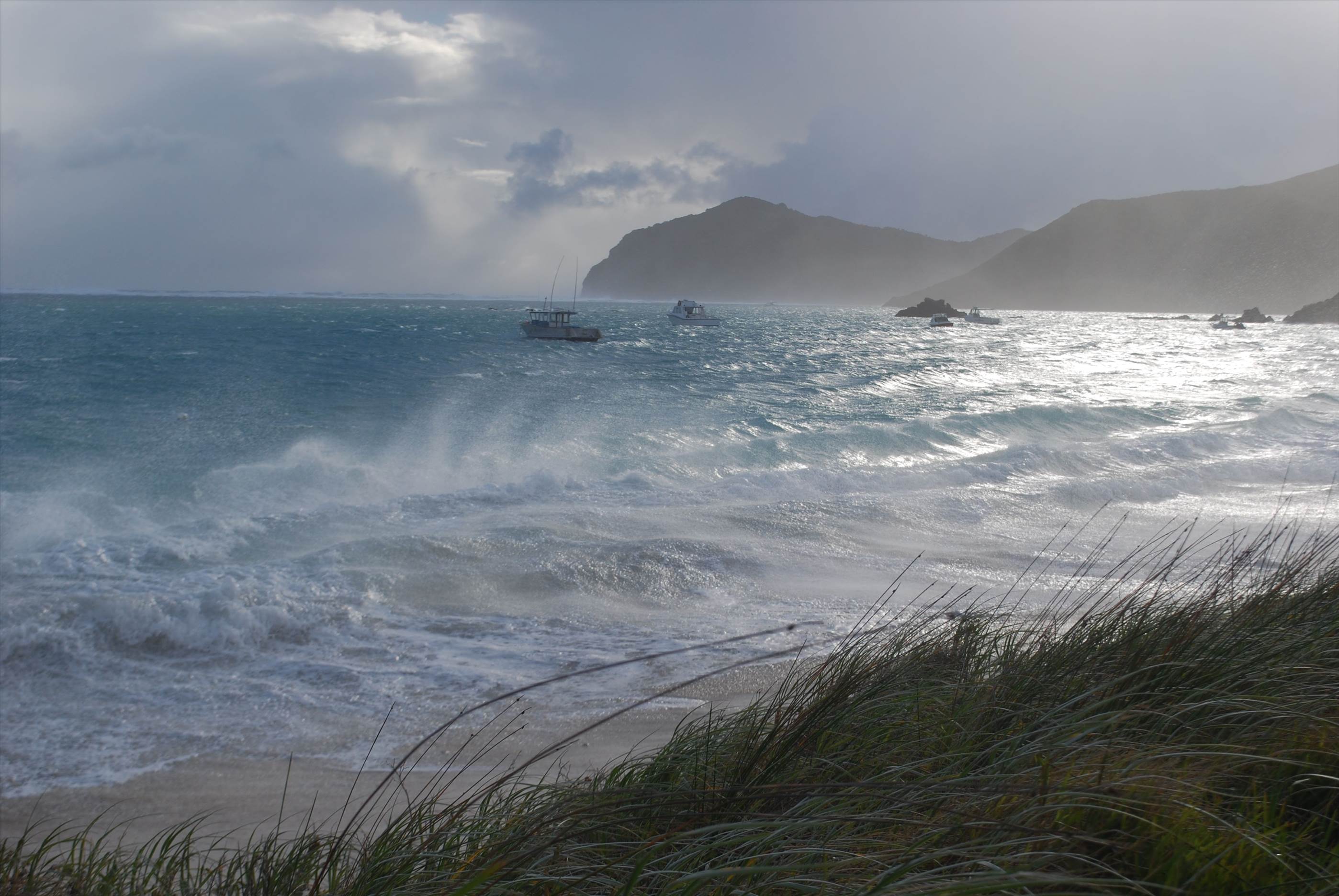 LORD HOWE 9