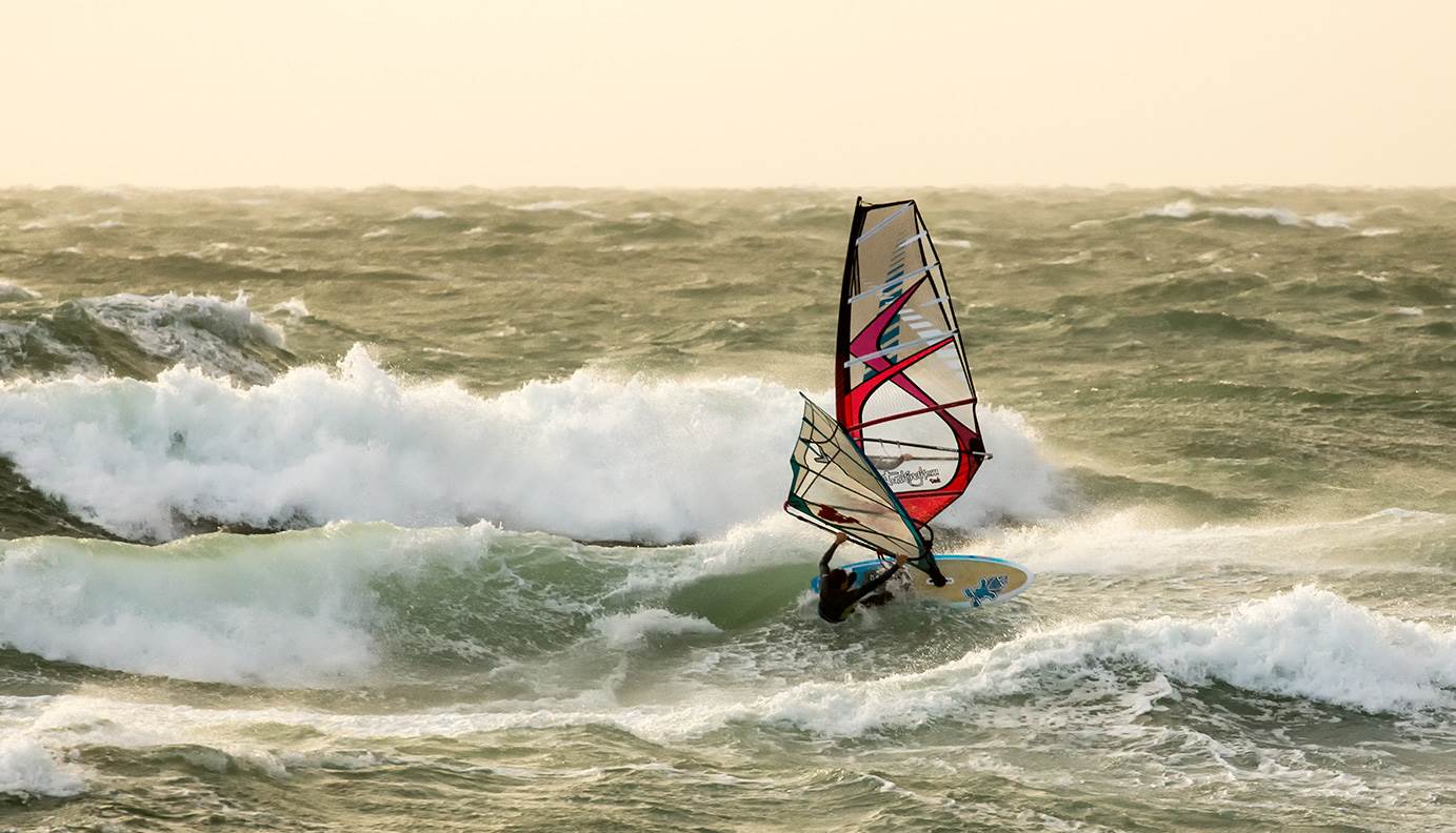 Dutchies action