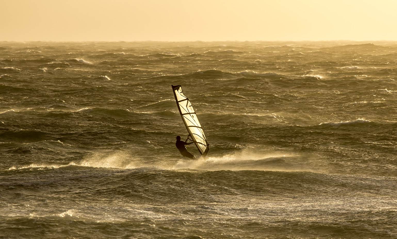 Dutchies action