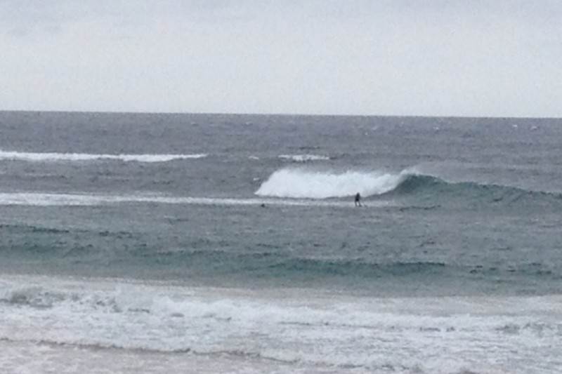 Longy bombie