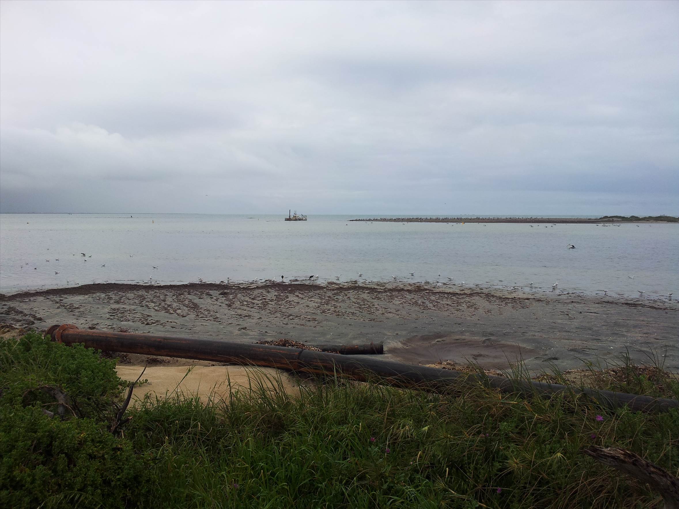 safety bay dredging pond