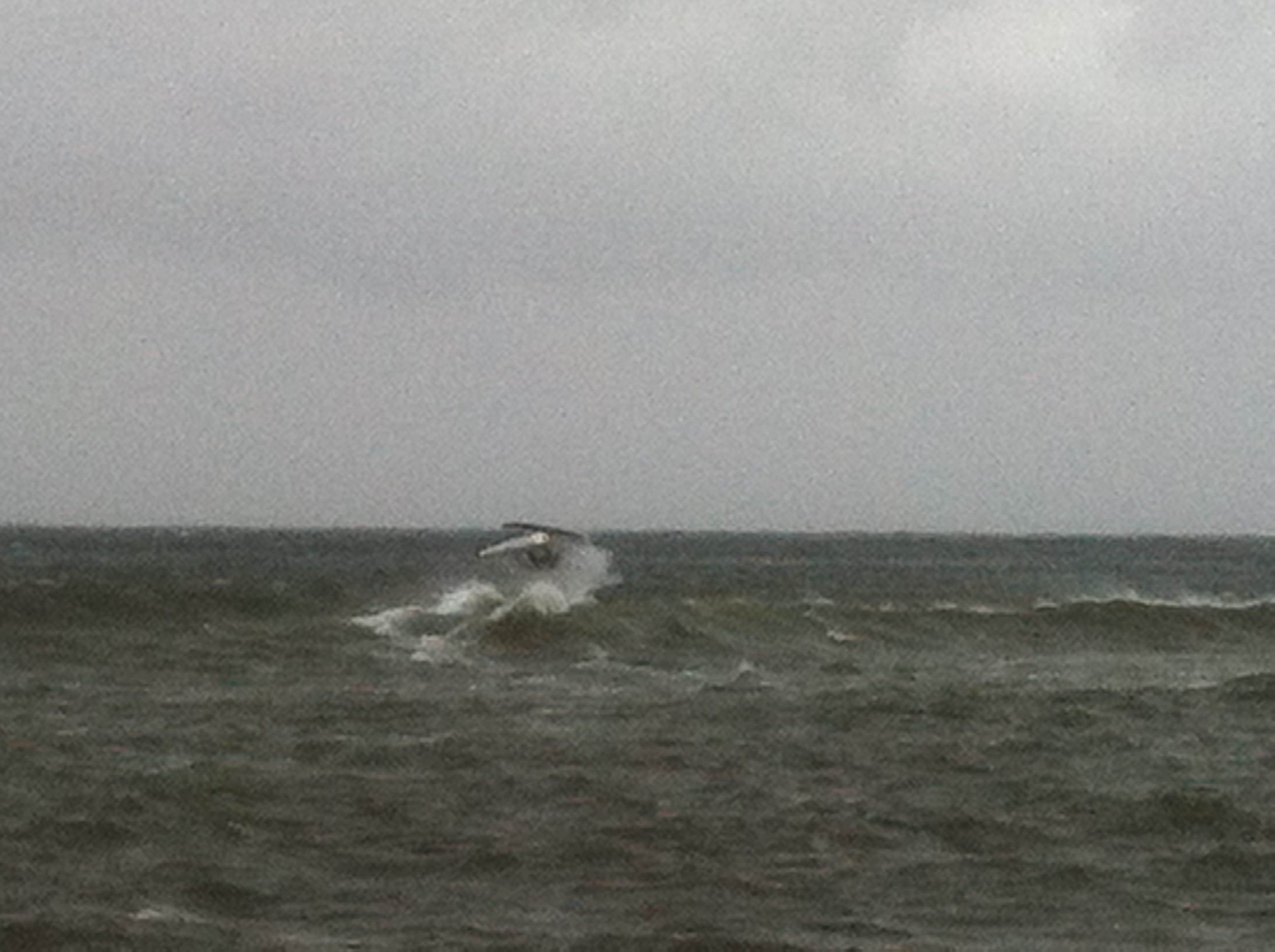 Tweaked tabletop in 30knots