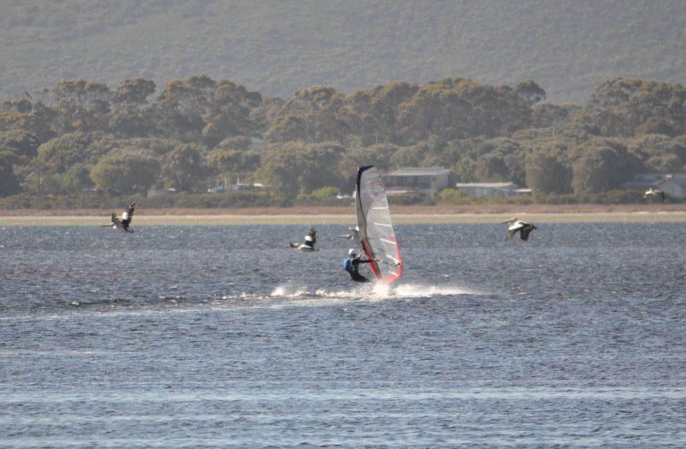 Pelican clearing