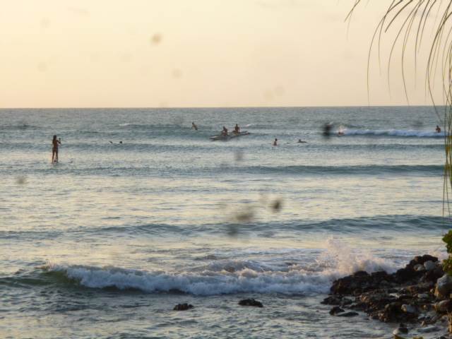 cafe on the beach  surf and NXS board in action