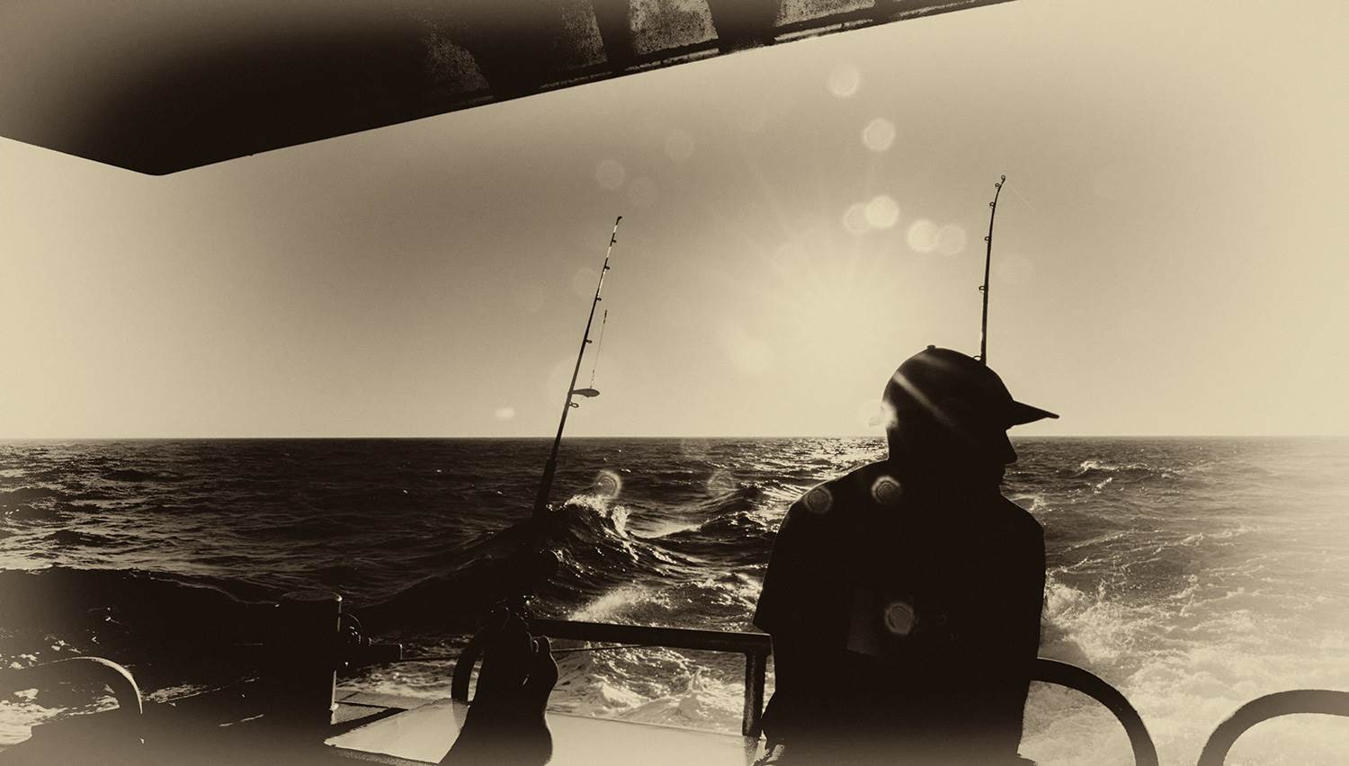 abrolhos 2014