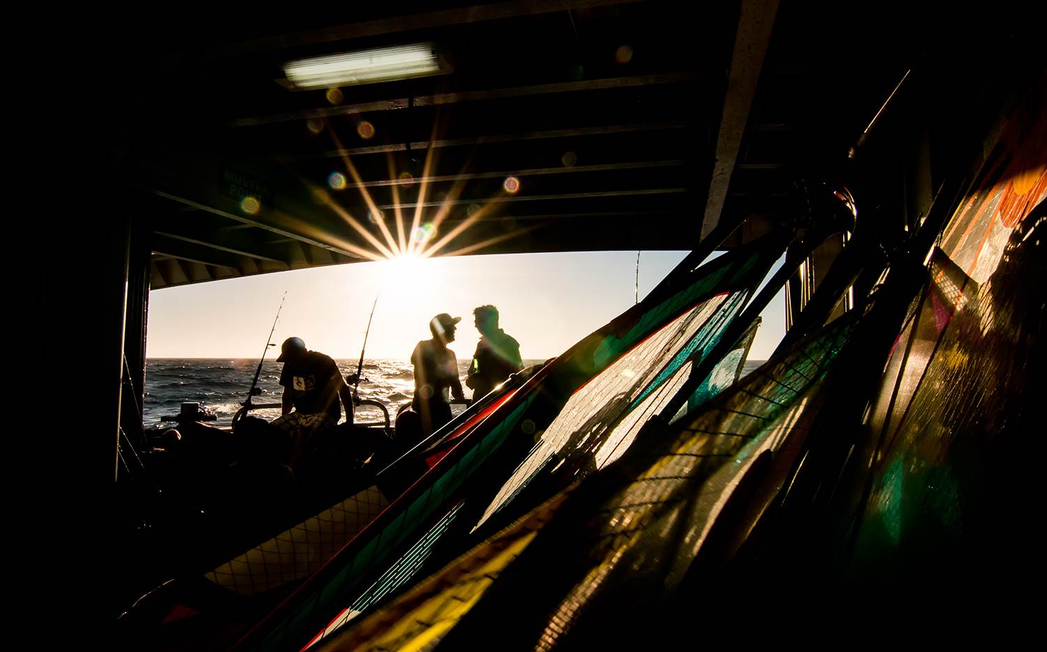 abrolhos 2014