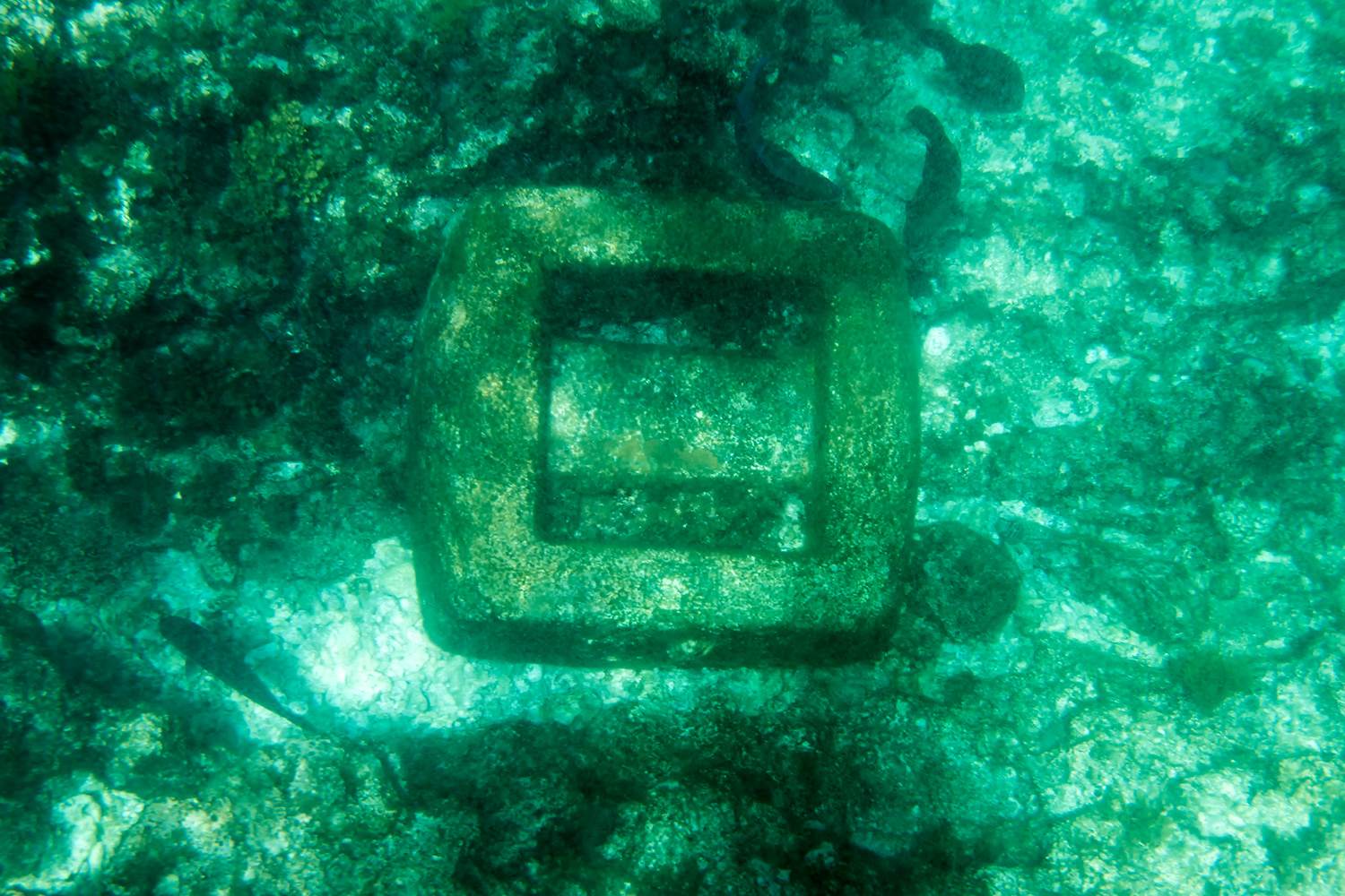 abrolhos 2014