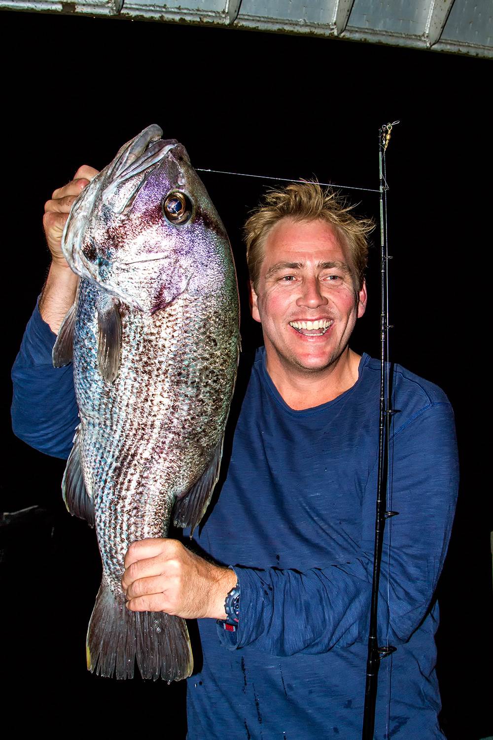 abrolhos 2014