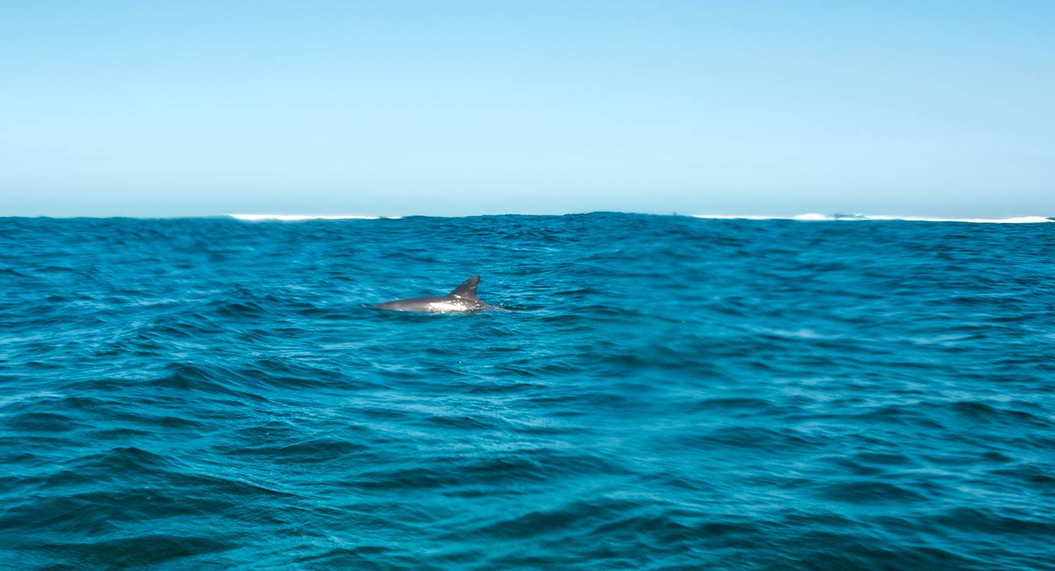 abrolhos 2014
