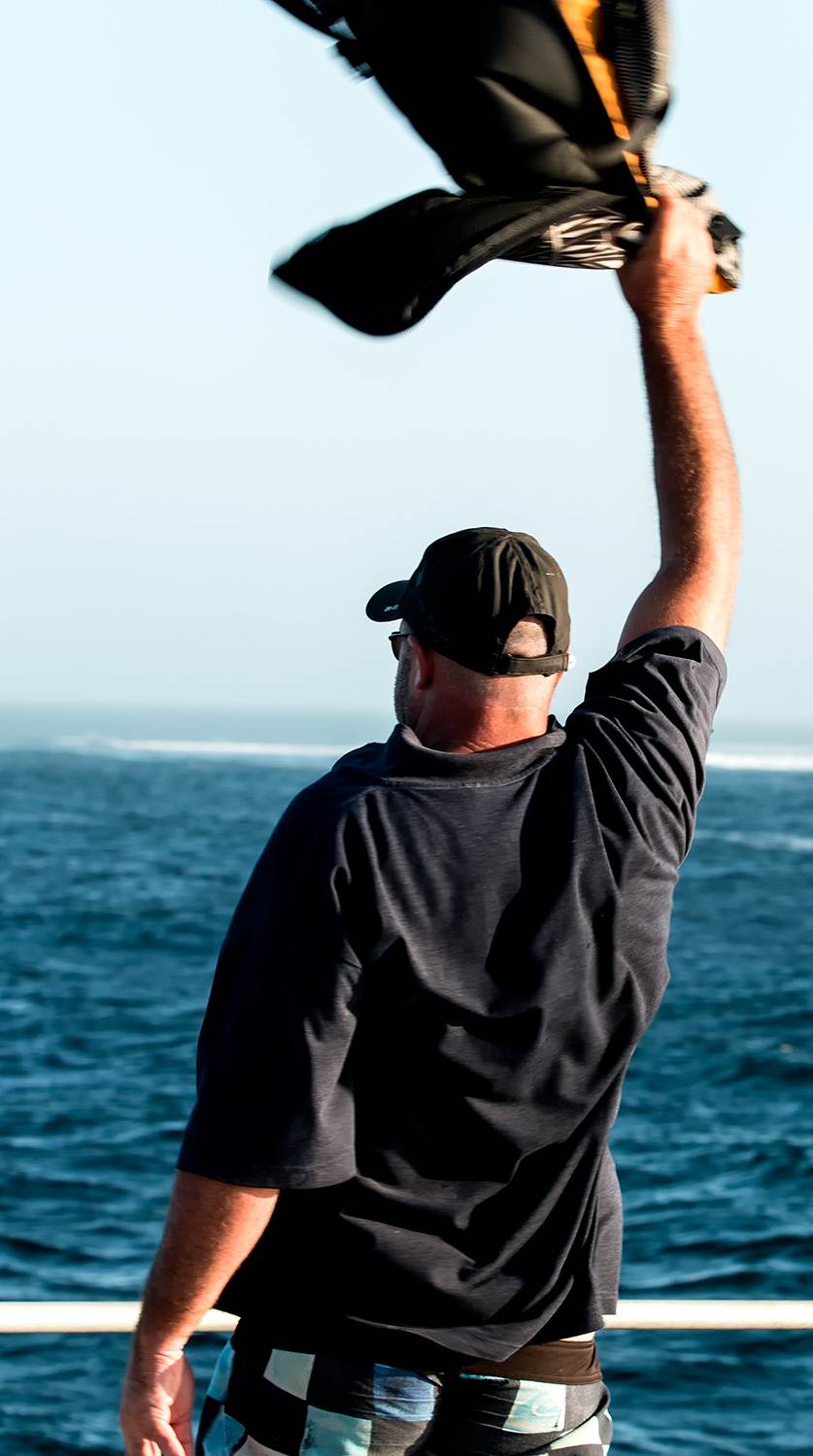 abrolhos 2014