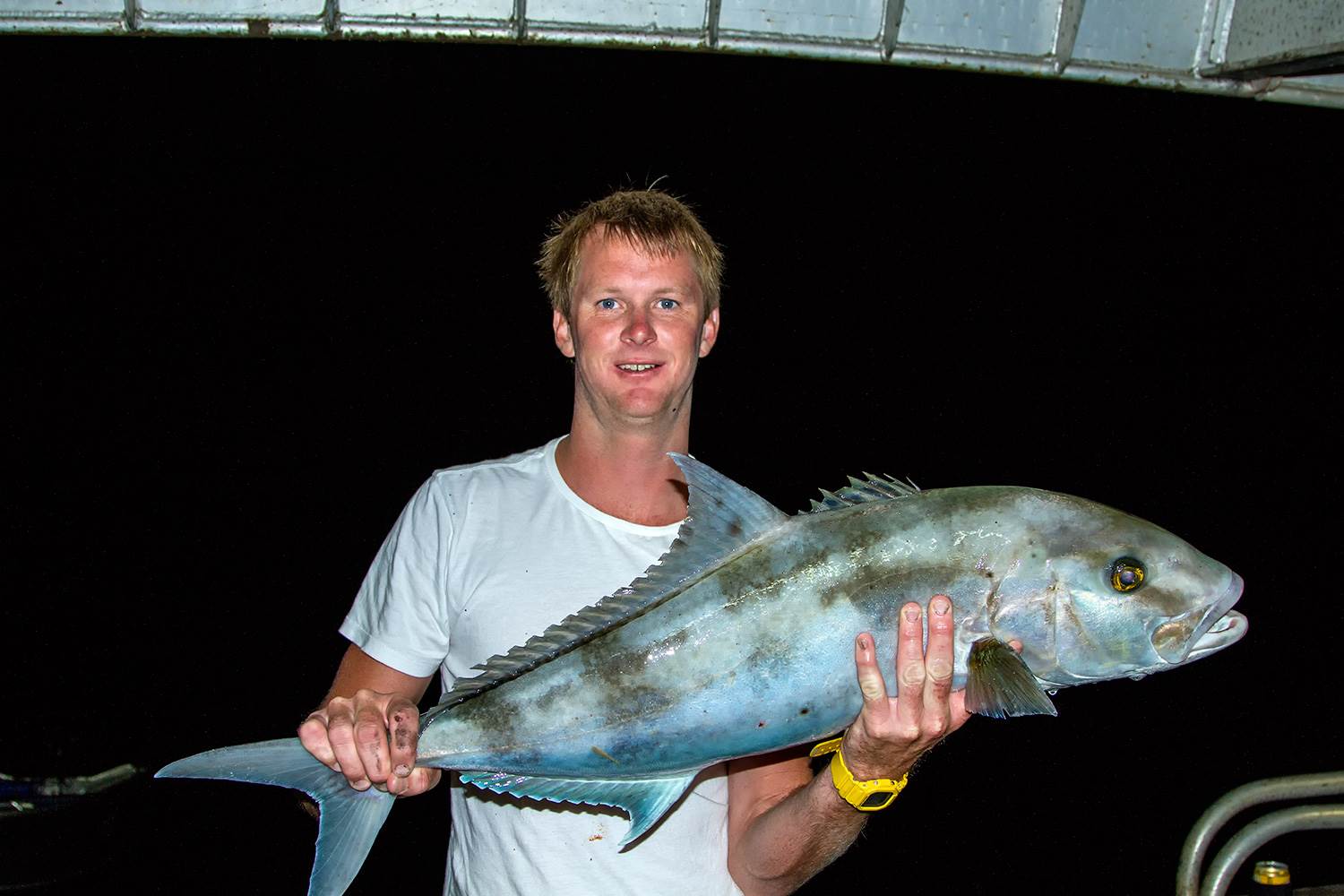 abrolhos 2014