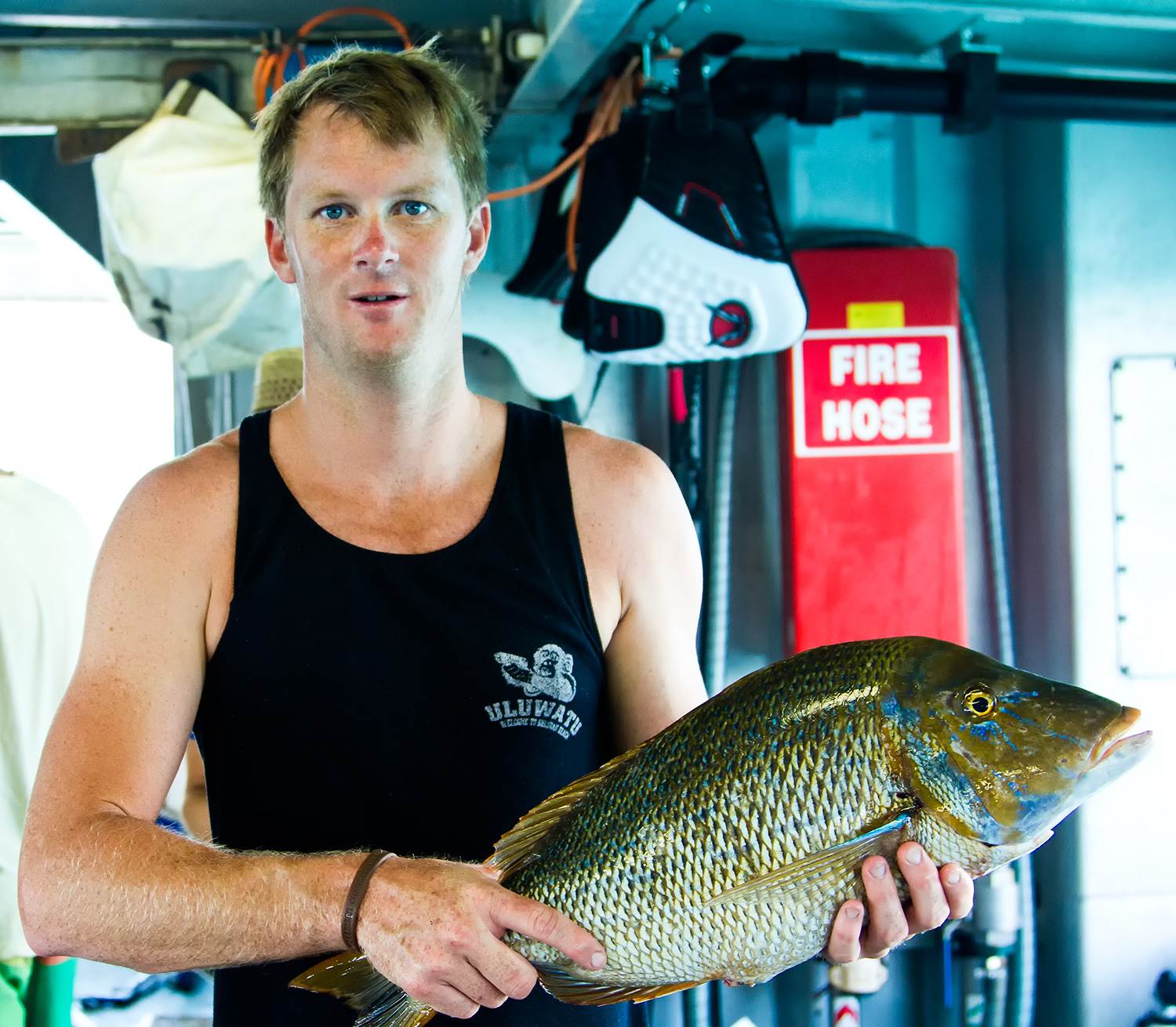 abrolhos 2014