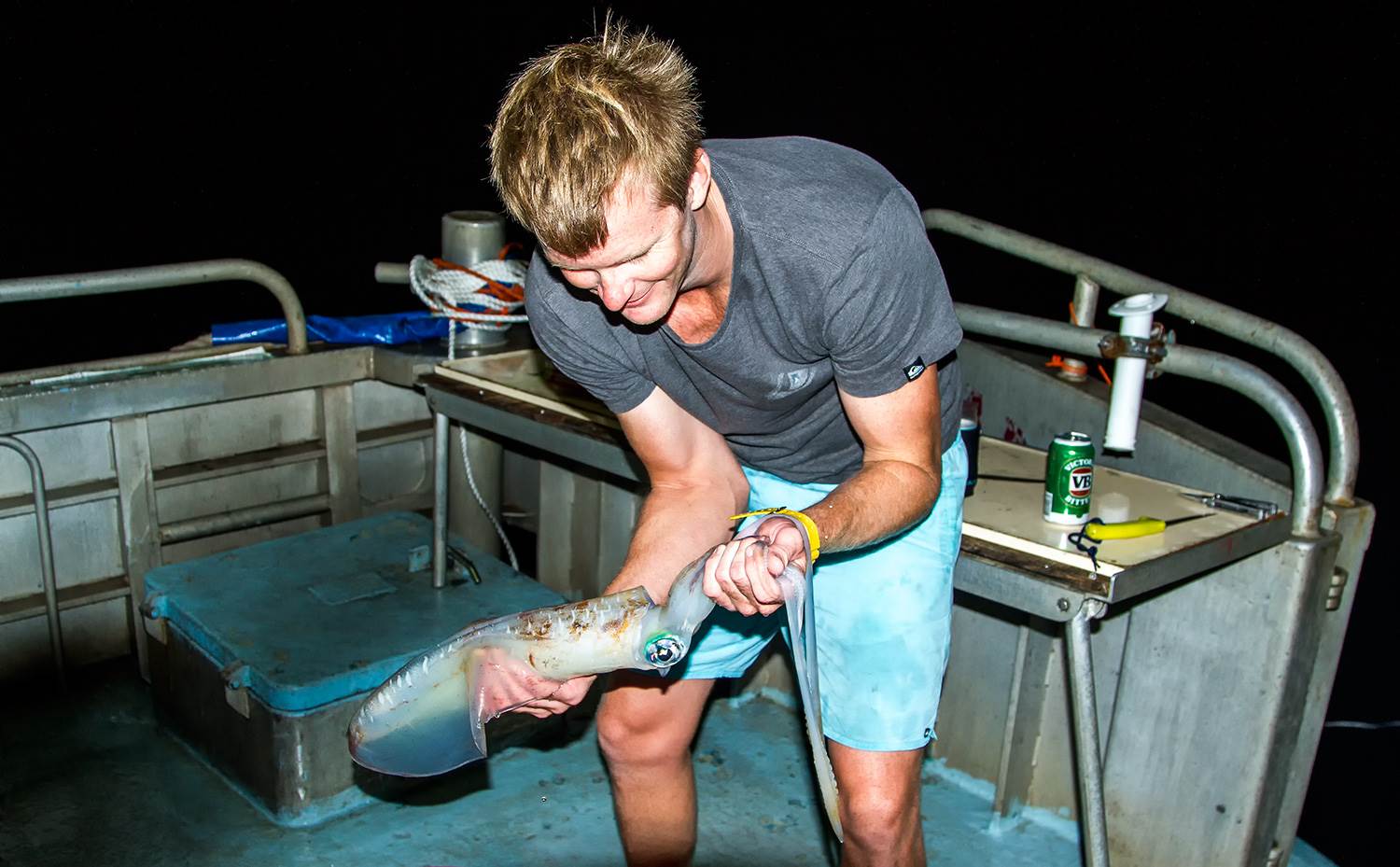 abrolhos 2014